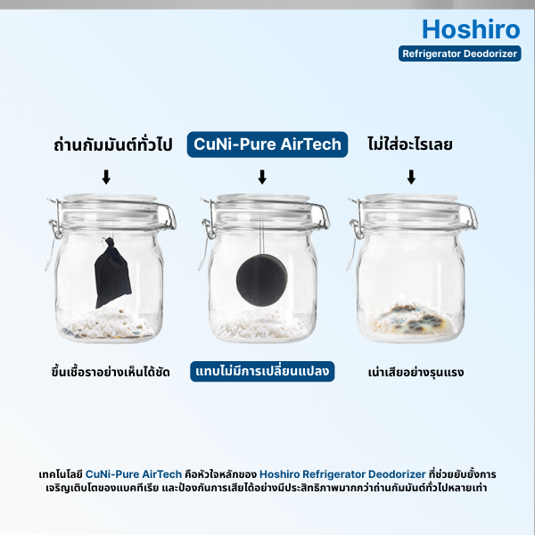 Hoshiro ที่ดับกลิ่นในตู้เย็น (เจ้าแรกในไทย)